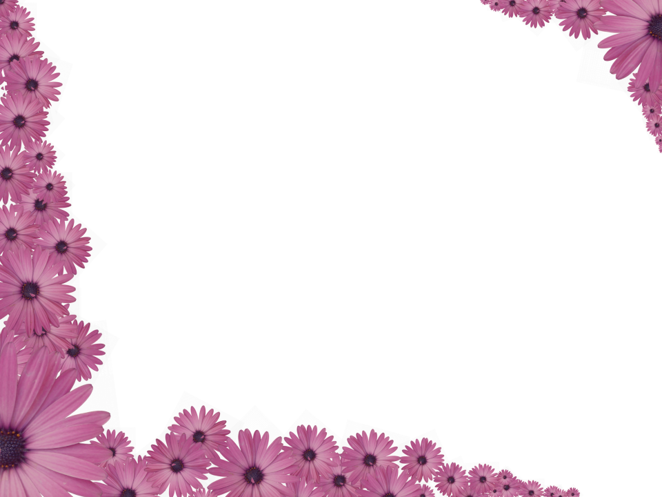 Pink Flowers Sprinkled At Corners Of Rectangular Powerpoint Transparent