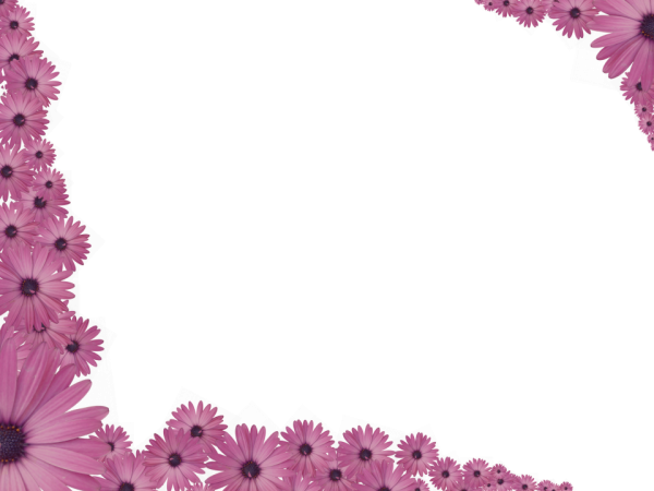 Bright Floral Corner Border in Pink color, Rectangular perfect for Powerpoint
