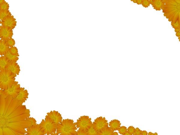 Two Flowery Yellow Corners - Border with transparent background | 3D