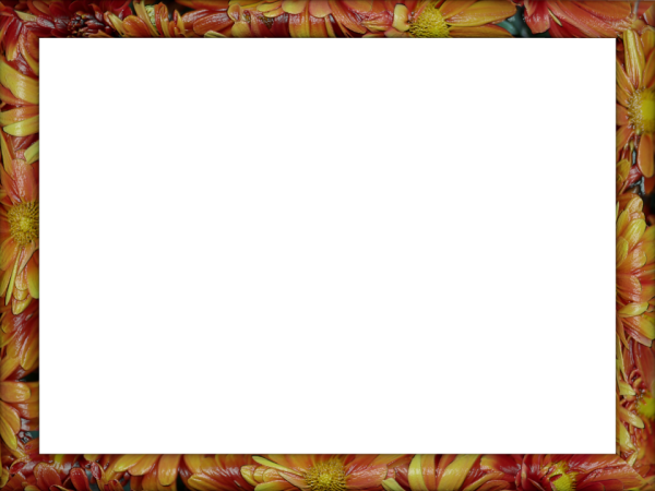 flowery Petals Ceramic Rectangular Border in Red Yellow color, Powerpoint perfect for Border.png