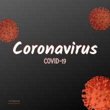 Black Background with Red Coronavirus Cells 