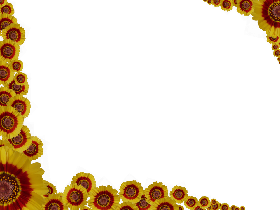 Flowery Sprinkle Rectangular Border in Red Yellow color